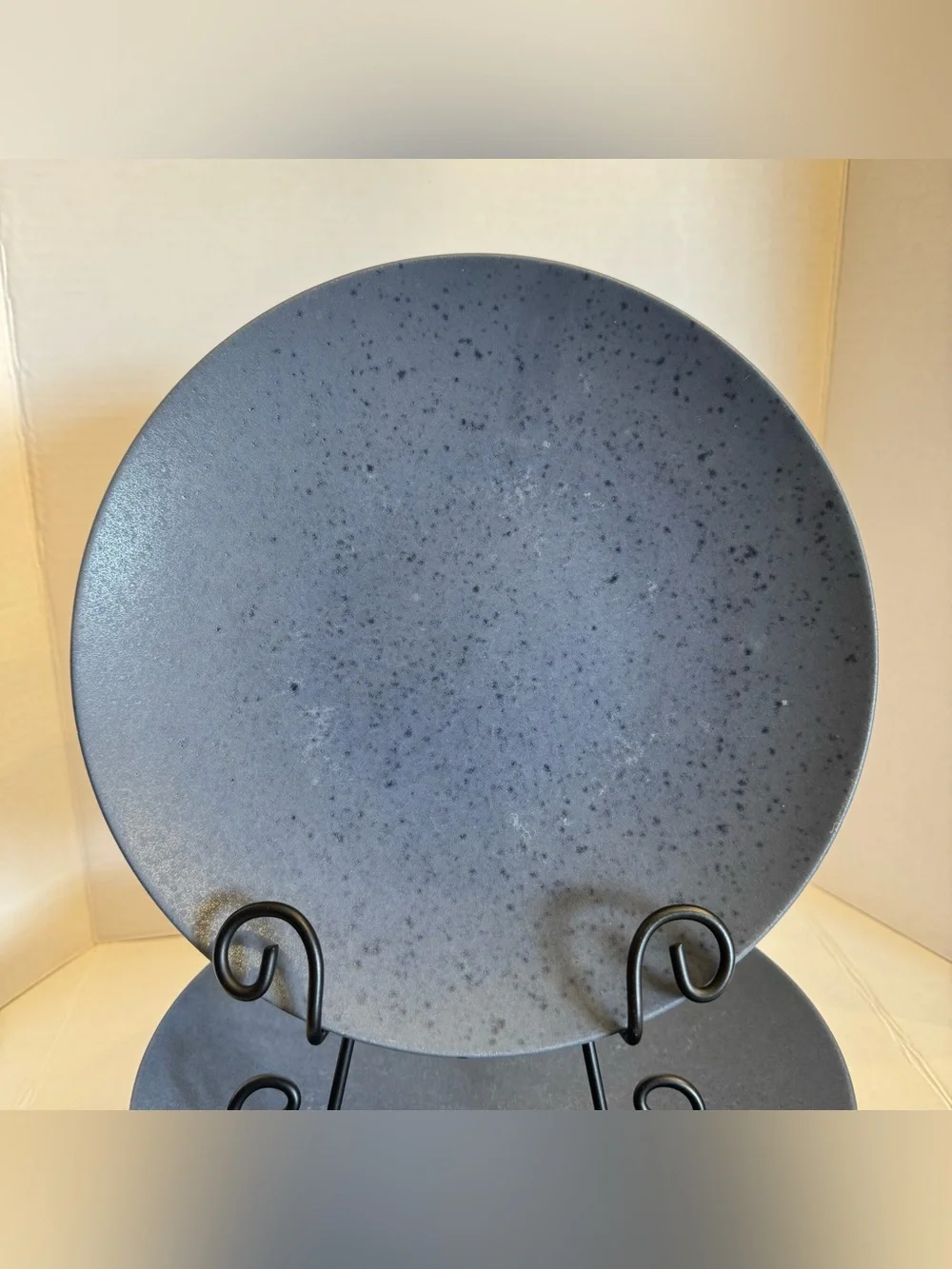 RARE Crate Barrel Craft Indigo Stoneware Coupe Dinner Plate 11